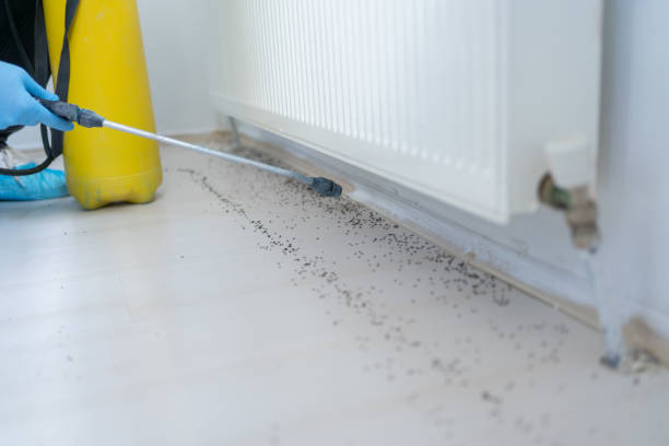  Norton Center, MA Pest Control Pros